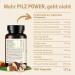 Mushroom Complex Premium - 180 Natural Capsules with Reishi Chaga Shiitake & More - High Polysaccharide Content & No Additives - Buy Online on GoSupps.com