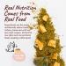 Kin+Kind Pumpkin Fiber Stomach & Bowel Support - 4 oz | Natural Digestive Health - Buy Online on GoSupps.com