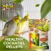 Zoo-MAX Conure Cockatiel Pellet Fresh from The Farm! - Buy Online on GoSupps.com