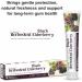 Herbodent Black Elderberry Toothpaste - 6.53 oz Pack of 1 | Toothpaste with The Goodness of Black Elderberry | SLS Free | 5 Organic Herbs 6.53 Ounce (Pack of 1) - Buy Online on GoSupps.com
