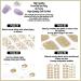 Ohora N Basic Nails no.11 - 30pcs Nail Art Sticker Set for Mother's Day - Buy Online on GoSupps.com
