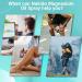 Magnesium Spray 100% Pure & Natural Dead Sea Magnesium Oil Helps Relieve Muscle Soreness & Promote Better Sleep Perfect for Bedtime or After Workouts 2.0 FL OZ 2 Fl Oz (Pack of 1) - Buy Online on GoSupps.com