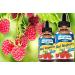 MYVIDAPURE RED RASPBERRY SEED OIL Rubus idaeus WILD GROWTH RAW 100% Pure VIRGIN UNREFINED Undiluted for Skin, Face, Hair, Lip and Nail Care. (1 Fl Oz) 1 Fl Oz (Pack of 1) - Buy Online on GoSupps.com