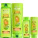 Garnier Fructis Sleek & Shine Full + Travel Size Shampoo (12.5 & 3 Fl Oz) + Conditioner (12 & 3 Fl Oz) Set for Frizzy, Dry Hair, Plant Keratin + Argan Oil (4 Items), 1 Kit (Packaging May Vary) 4 Piece Set