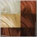 Paradyes Ammonia Free Chocolate Brown Hair Color Kit | Semi-Permanent Creme | Herbal Ingredients | All Hair Types | Unisex | International Shipping - Buy Online on GoSupps.com