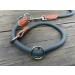 Leisegr n Adjustable Paracord Dog Collar - Devon Model - Blue XL | Durable Nylon Dog Collar for Large Breeds - Buy Online on GoSupps.com