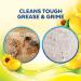 Lysol Clean and Fresh Lemon and Sunflower Multi-Surface Cleaner 40 Fl Oz (Pack of 3) - Buy Online on GoSupps.com
