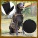 Hunthor 5mm Neoprene Dog Hunting Vest - Adjustable Waterfowl Duck Hunting Camo - X-Large - Buy Online on GoSupps.com