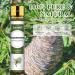Aoruilia 10ml Cedarwood Essential Oil 100% Pure Natural Cedarwood Oil Essential Oils for Diffuser for Home Aromatherapy Bath Relax Soaps & Candles Making Cedarwood 10 ml (Pack of 1) - Buy Online on GoSupps.com