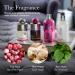 Shop Molton Brown Infinite Bottle - Pink Pepper 13.5 fl. oz. | Luxury Fragrance for Global Shipping - Buy Online on GoSupps.com