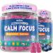 Focus Gummies for Kids & Adults, Brain Supplement w/Magnesium Glycinate, Omega-3 DHA, Lion's Mane, L-Theanine, Methylated B12 & Vitamin D3 Support Calm, Attention, Concentration, and Memory, 120Cts