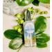  LilaLily Clear Spa Essence | Sebum Control Serum for Oily Skin | Retain Moisture & Hydrate | Korea Beauty Face Care 50ml - Buy Online on GoSupps.com