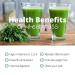 Handy Pantry Organic Wheatgrass Seeds - Premium Hard Red Wheat for Wheatgrass, Cat Grass, Food Storage & More (1/2 lb) - Buy Online on GoSupps.com