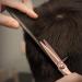 Professional Purplebird 6-Inch Hairdressing Scissors Sharp Japanese Stainless Steel Shears for Men & Women with Bronze Wing Grip - Buy Online on GoSupps.com