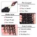Leeven Boho Passion Twist Hair 24 Inch | Pre Twisted Crochet Goddess Twist 8 Packs | Black Pre Looped Curly Ends | Bohemian Synthetic Braids Extensions for Women - Buy Online on GoSupps.com