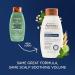 Aveeno Scalp Soothing Fresh Greens Blend Shampoo 354 ml (Pack of 1) - Buy Online on GoSupps.com