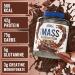 Applied Nutrition Critical Mass Professional Chocolate 24Kg Chocolade - Buy Online on GoSupps.com