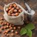 Buy Premium Fresh Hazelnuts in the Shell - 2 kg from Poland | International Shipping - Buy Online on GoSupps.com