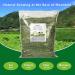 OHCOOL Timothy Hay 1000g - Premium Hay for Rabbits Tortoise Guinea Pig Chinchilla - Dust Free Natural Fresh Hay (500g 2 Packs) Timothy Hay 1000g 1 kg (Pack of 1) - Buy Online on GoSupps.com