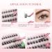 Cuckoo Cluster Lashes - 100 Pc 3D Fluffy DIY Eyelash Extensions - C Curl Mixed Length Individual Cluster Lashes for Volume - Cluster Lash-01 - Buy Online on GoSupps.com