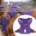 Rabbitgoo Tactical Dog Harness for Large Dogs - Adjustable Durable with Handles & Metal Buckles - Perfect for Hiking (L Purple) - Buy Online on GoSupps.com