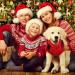 Katzinst Christmas Dog Sweater for Small Dogs | Fleece Styles for French Bulldogs Dachshunds Chihuahuas & Yorkshire Terriers | Red & Black - Buy Online on GoSupps.com