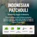 Buy Laundry Sauce Fabric Refresher Spray - Odor-Fighting Fragrance in Indonesian Patchouli | 9.8 fl oz - Shop Internationally - Buy Online on GoSupps.com