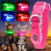Buy YFBRITE LED Cat & Dog Neck Band - Adjustable Reflective Safety Collar in Pink XS - Comfortable Glowing Puppy Straps - Buy Online on GoSupps.com