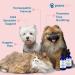 Prana Pets Cold Support for Cats and Dogs - Natural Relief for Pet Respiratory Health - Buy Online on GoSupps.com