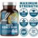 N1N Premium White Kidney Bean Extract 120 Caps - Max Strength for Carb Absorption, Digestion & Energy - Non GMO & Gluten Free - Buy Online on GoSupps.com