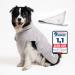Nice and Things Luxurious Dog Brademan Lante - test winner Extra absorbent - ultra -wicked dog towel super soft with Velcro fastener for medium -sized and large dogs
