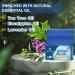 Antifungal Medicated Soap Bar | Tea Tree Oil Body Soap for Athletes Foot Jock Itch Ringworm & Yeast Infection Treatment | Natural Eucalyptus & Lavender Oil - Buy Online on GoSupps.com