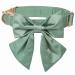Lionet Paws Bowtie Dog Halison - Comfortable Silk Dog Color Band with removable fly for medium dogs neck 34-55cm m collar & fly (1 pack) grassy