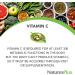 Nature's Plus Immune Vitamin C 500mg - 100 Chewable Tablets for Immune Support - Buy Online on GoSupps.com
