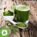 Organic Barley Herb Powder - 150 g. Rich in Chlorophyll. Source of Vitamins Minerals Potassium Calcium and Iron. Barley Grass Juice Powder or Green Magma. - Buy Online on GoSupps.com