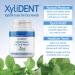XyliDENT Xylitol Gum for Dry Mouth Relief - Peppermint Flavor - 50 Count Pack - Stimulates Saliva, Freshens Breath, Reduces Acid - Fast Acting Relief - Buy Online on GoSupps.com