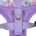 Puppia LITA Over-The-Head Dog Harness No Choke No Pull Adjustable Chest Belt Walking Training for Small and Medium Dog - Purple - XS PURPLE_LITA XS - Buy Online on GoSupps.com
