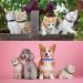Gentledog Frosted Cat Collar with Bell - Adjustable 7.5 to 12.5 Inch for Cat, Puppy, and Small Dog Accessories - Buy Online on GoSupps.com