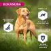 Eukanuba Dog Grain Free Adult All Breed Duck 3 kg - Buy Online on GoSupps.com