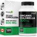 Renew Actives Chlorella Capsules 1000MG per 2 Capsules - Rich in Antioxidants & Nutrients - Natural Source for Cellular Health, Vitality, & Wellness - Made in Canada - 120 Capsules