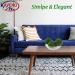 Kaveno Green Moss Decorative Balls - Set of 12 Natural Green Spheres 2.4 - Buy Online on GoSupps.com