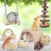 Erkoon 12-Piece Natural Wood Hamster Toy Set - Exercise Bell Rollers & Dental Molar Toys for Chinchillas Rabbits & Guinea Pigs - Buy Online on GoSupps.com