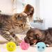 Buy Catal Balls Interactive Cat Toys - 3 Pack with Sound | Fluffy Catnip Balls in Blue Pink & Yellow for Fun Playtime - Buy Online on GoSupps.com