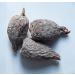 KOPABANA Organic Alligator Pepper Seeds - Premium Mbongo Spice | 1oz Grains of Paradise - Buy Online on GoSupps.com