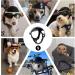 PETLESO Dog Goggles with Helmet Set | 2-Piece Black Dog Goggles & Helmet for Small & Medium Dogs - UV Protection & Safety - Buy Online on GoSupps.com