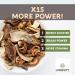 Longevity Botanicals 15 Mushroom Supplement Blend - Immune Support & Mental Clarity - 100g Powder - Buy Online on GoSupps.com