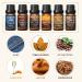 HIQILI Fragrance Oils for Men - Set of 6 Aromatherapy Scented Oils - Sandalwood, Leather, Coffee, Jeans, Tobacco, Ebony, Amber Rum - Father's Day Gift for Dad - Buy Online on GoSupps.com