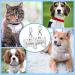Nibana 2 Pack Personalized Pet ID Tags Dog Name Tags Engraved on Both Sides 4 Lines of Custom Text Paw Print Bone Pet Tag for Dogs Cats (Blue) - Buy Online on GoSupps.com