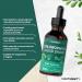 Liquid Chlorophyll Drops for Water | 100ml - 3+ Months Supply | Vegan Liquid Food Supplement Extracted from Alfalfa | Mint Flavour | by Horbaach - Buy Online on GoSupps.com