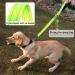 Vivaglory Short Dog Leash - 61 cm Training Line for Medium & Large Dogs - Light Neon Yellow - Buy Online on GoSupps.com